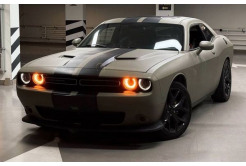 421 Dodge Challenger 3.6 л без водителя для фотосессии wvpK